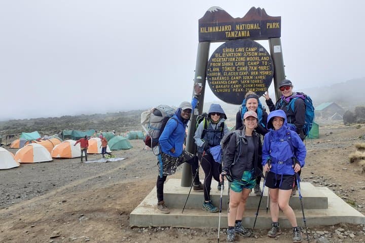Climb Kilimanjaro via the Lemosho Route: 8-Day Guided Summit from Moshi photo 3