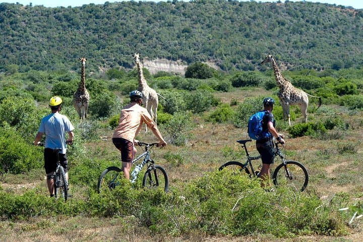 7-Day Kenya Cycling & Wildlife Safari: Masai Mara, Hells Gate & Amboseli photo 3