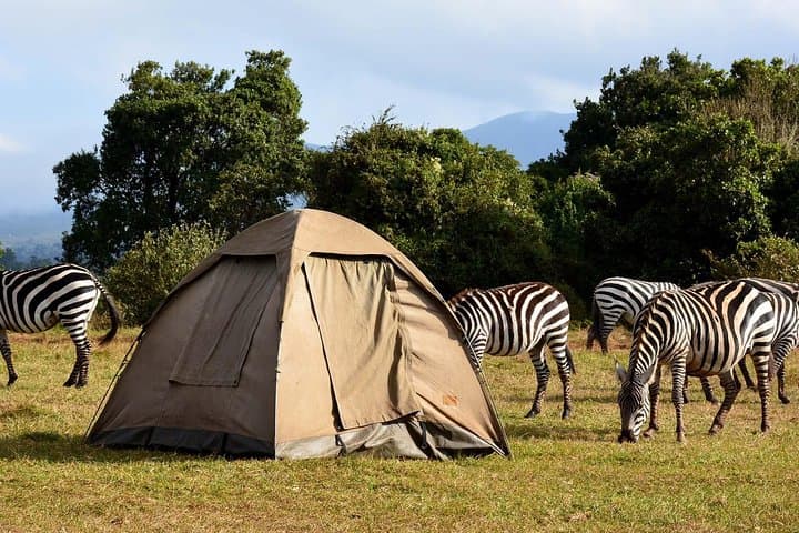2-Day Private Safari: Lake Manyara & Ngorongoro Crater photo 2