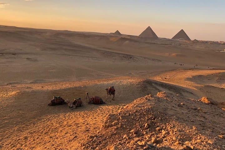 Sunset Camel Ride at Giza Pyramids: Evening Tour from Cairo