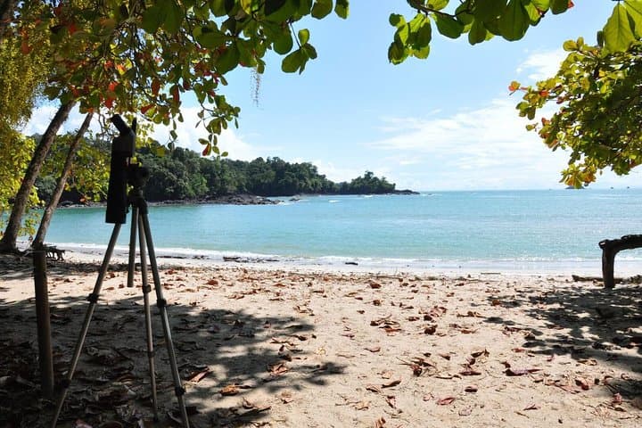Manuel Antonio National Park Guided Tour — Coastal Rainforest Walk & Beach Stop photo 6