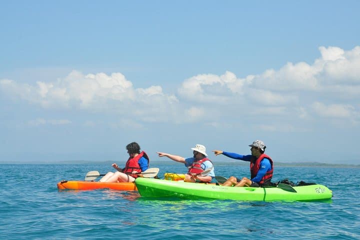 Manuel Antonio Ocean Kayaking & Snorkeling — Paddle to Biesanz Bay & Marine Wildlife photo 3