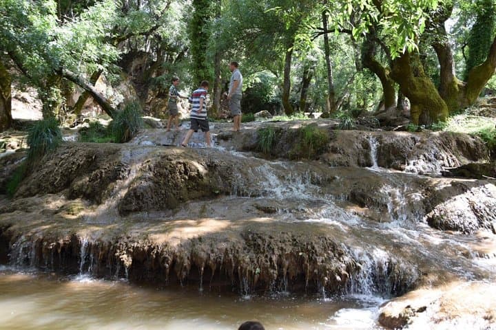 Middle Atlas Day Trip from Fez: Ifrane, Cedar Forests & Azrou photo 5