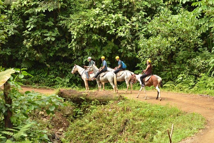 Horseback Riding Through Manuel Antonio's Jungle and Secret Waterfall photo 4