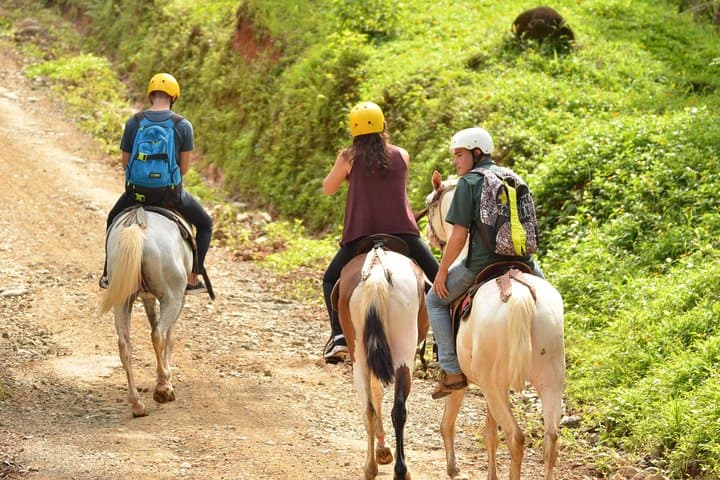Horseback Riding Through Manuel Antonio's Jungle and Secret Waterfall photo 6