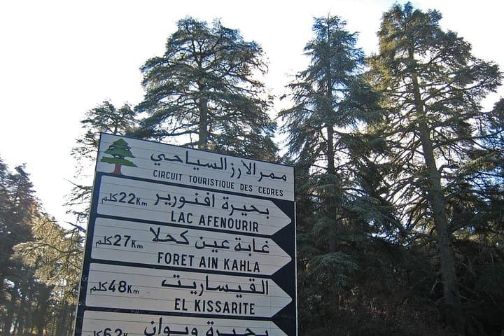 Middle Atlas Day Trip from Fez: Ifrane, Cedar Forests & Azrou photo 6
