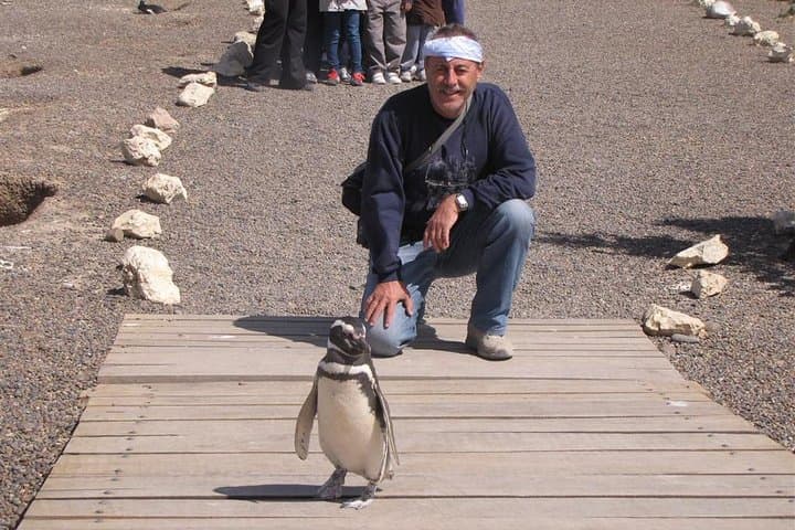 Full-Day Punta Tombo Penguin Walk from Puerto Madryn: See Magellanic Penguins Up Close photo 2