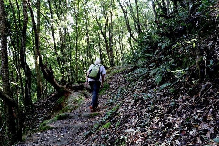 Godavari to Fulchoki Day Hike — Kathmandu Valley Rim Trek with Himalayan Panoramas photo 2