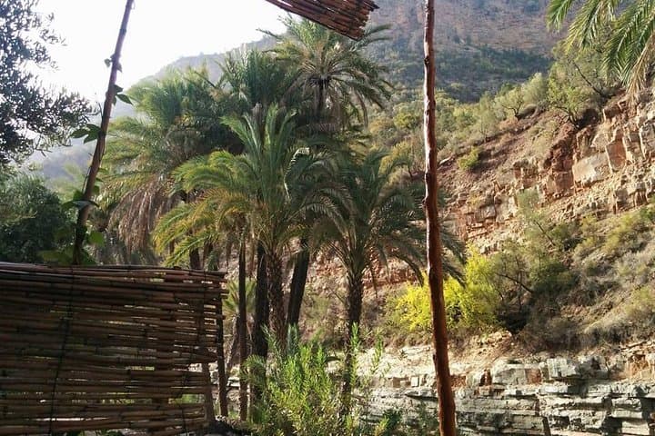 Paradise Valley Day Trip from Agadir: Hike, Swim and Cliff-Jump in Morocco's Oasis photo 6