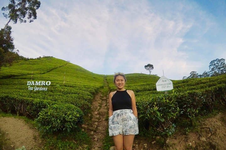 Sri Lanka Round Tour: Sigiriya to Mirissa — 6-Day Solo Traveler Adventure