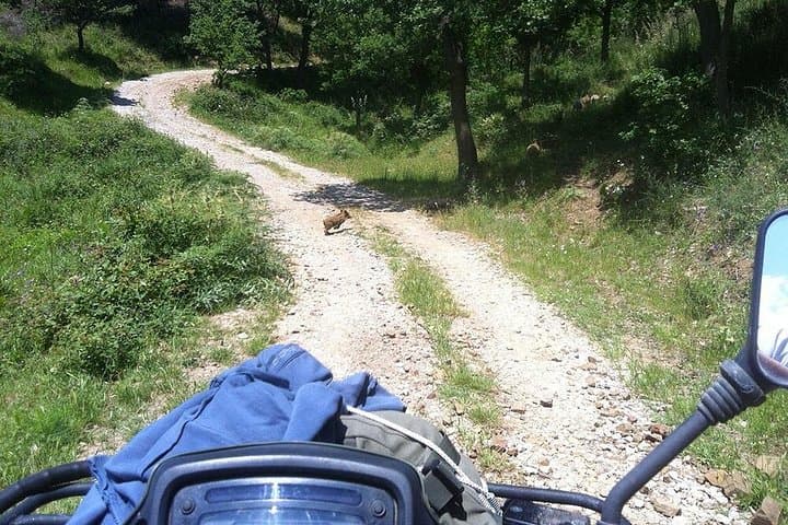 Offroad Cefalù Quad Tour: Gibilmanna & Madonie Trails from Cefalù photo 3