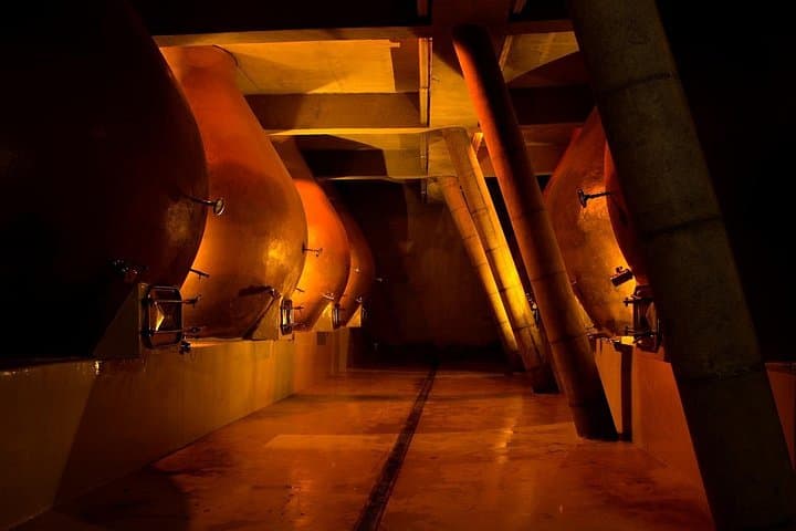 Casablanca Valley Wine Tour from Santiago — Bodegas Re & Casas del Bosque photo 3