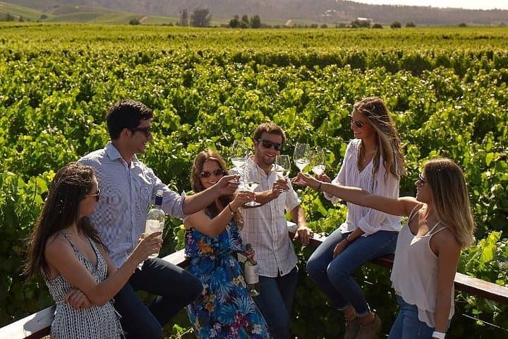 Casablanca Valley Wine Tour from Santiago — Bodegas Re & Casas del Bosque