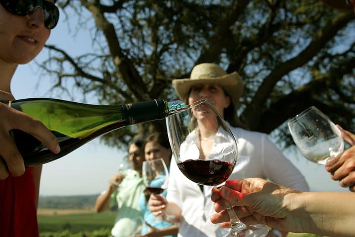 Casablanca Valley Wine Tour from Santiago — Bodegas Re & Casas del Bosque photo 4