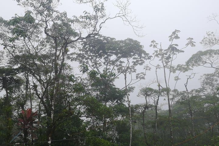 Hanging Bridges Adventure San Luis: Canopy Walk & Wildlife from San José photo 5
