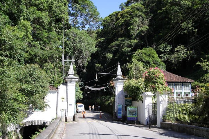 Tijuca Forest, Botanical Garden & Parque Lage — Half-Day Private Tour in Rio photo 5