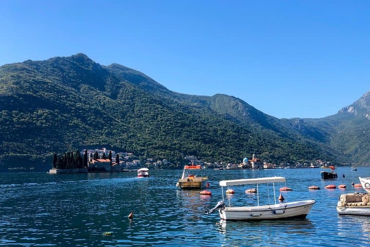 Kotor Bay Oyster Cruise and Blue Cave Swim: A Four-Hour Maritime Feast photo 6
