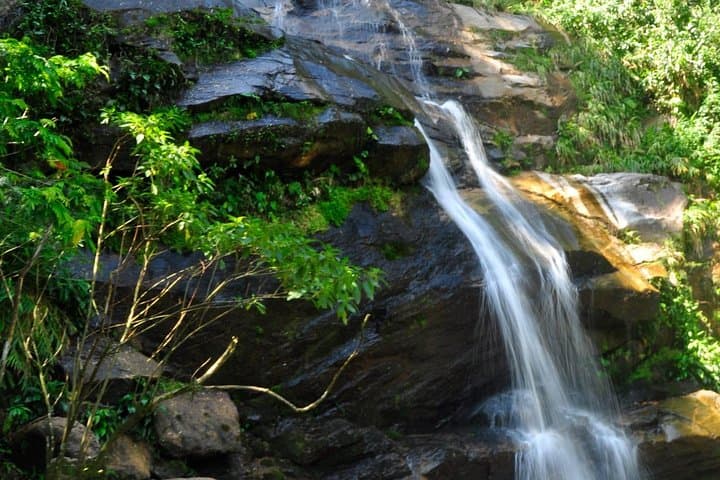 Tijuca Forest, Botanical Garden & Parque Lage — Half-Day Private Tour in Rio photo 2