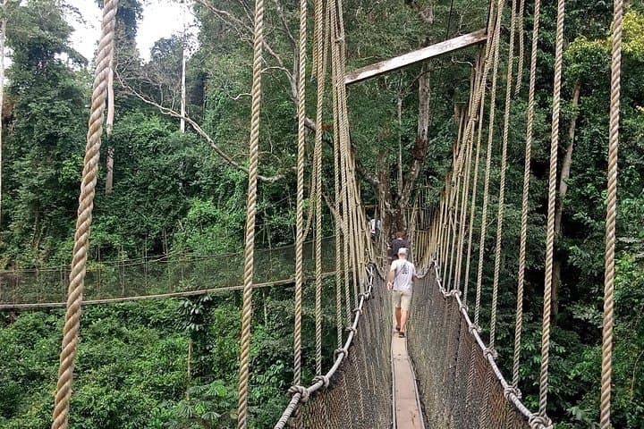 Cape Coast Day Tour from Accra — Kakum Canopy Walk, Castle & Crocodiles photo 3