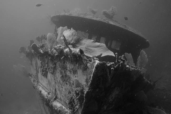 One-Tank Scuba Dive in Roatán — Reefs, Wrecks & Drift Dives from French Cay photo 2