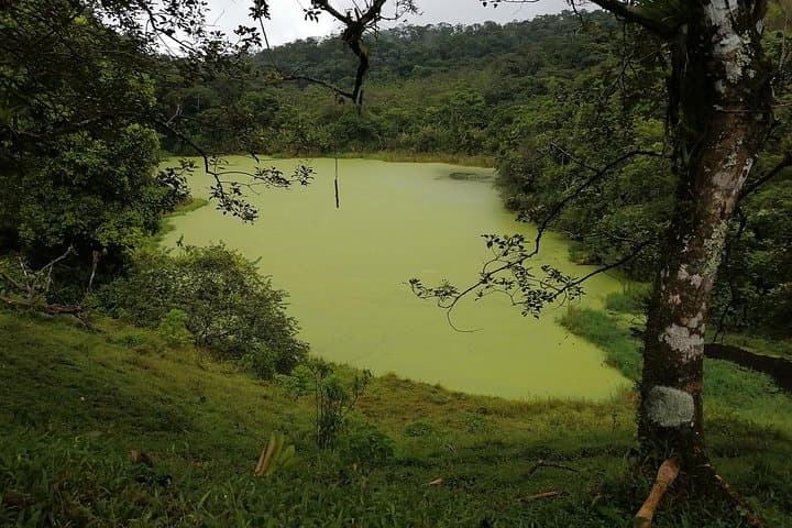 Walking the 1968 Lava Flow: Arenal Volcano Guided Hike from La Fortuna photo 2
