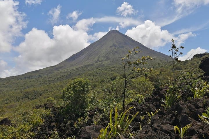 Walking the 1968 Lava Flow: Arenal Volcano Guided Hike from La Fortuna photo 3