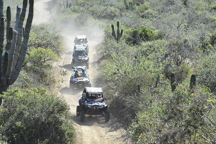 Wild Baja RZR Adventure: Quad Tours to La Candelaria & Migriño Beach photo 4