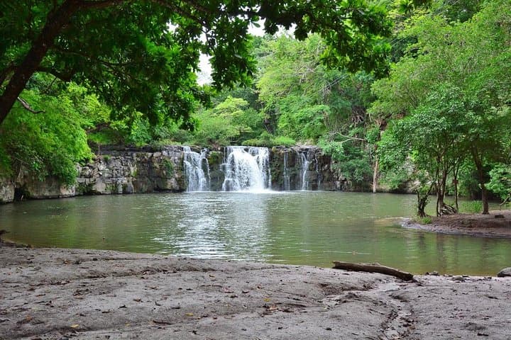 Discover Costa Rica’s Northern Rainforest: Sloth Adventure From Guanacaste photo 3