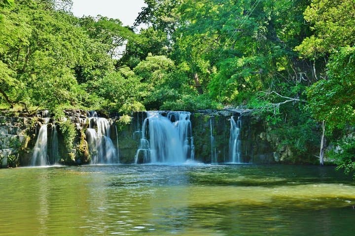 Discover Costa Rica’s Northern Rainforest: Sloth Adventure From Guanacaste photo 4