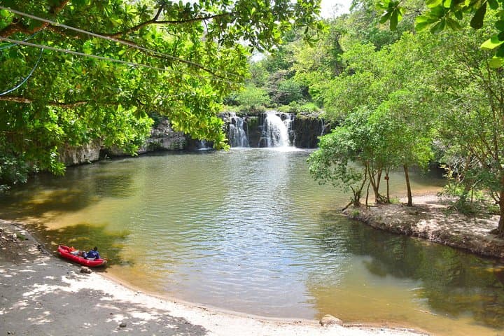 Discover Costa Rica’s Northern Rainforest: Sloth Adventure From Guanacaste photo 5