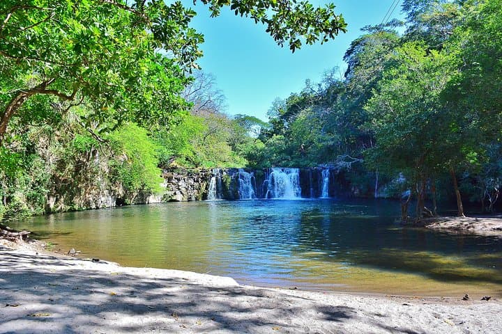 Discover Costa Rica’s Northern Rainforest: Sloth Adventure From Guanacaste photo 6