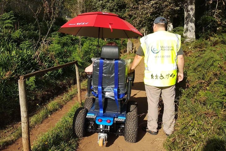Accessible Half‑Day: Caminho das Queimadas Wheelchair Tour, Madeira photo 3