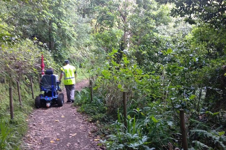 Accessible Half‑Day: Caminho das Queimadas Wheelchair Tour, Madeira photo 4