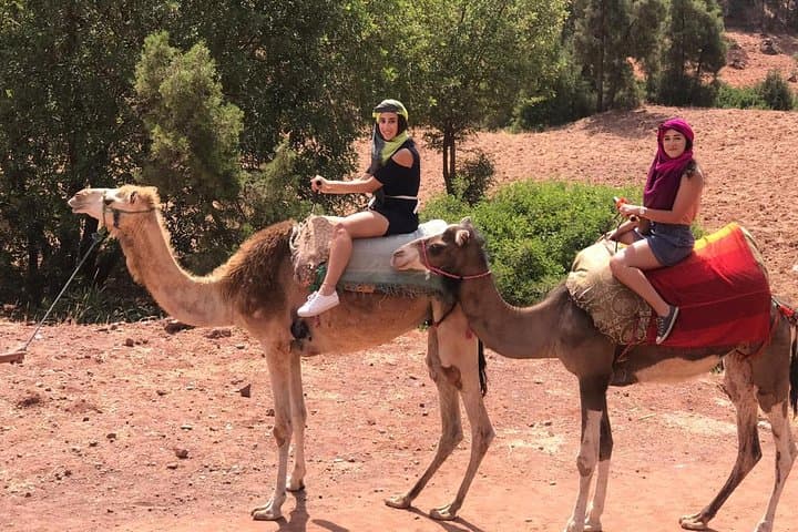 Atlas Adventure: Quad Biking, Camel Ride & Setti Fatma Waterfalls Day Trip from Marrakech photo 4
