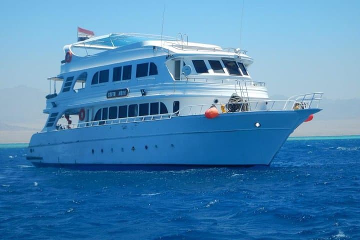 Ras Mohamed National Park Boat Snorkel from Sharm El Sheikh — Full-Day Trip photo 1