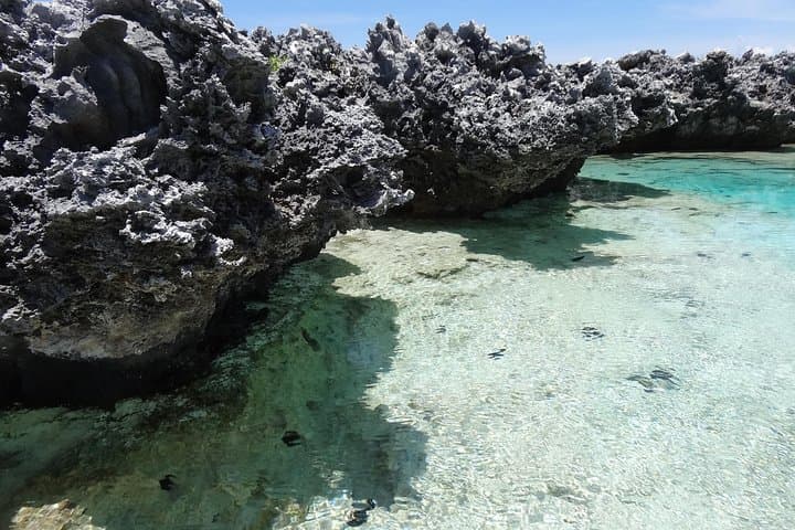 Reef Island Motu Day — Rangiroa Pink Sand, Natural Pools & Tiputa Pass Dolphins photo 5