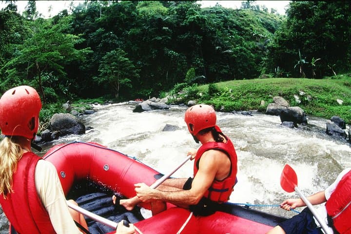 South Ubud E‑Bike & Ayung River Rafting: Rice‑Field Rides to Class 2–3 Rapids photo 4