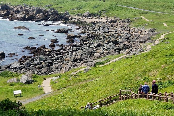 Tanesashi Coast Trek and Fisherman's Lunch — Sanriku Reconstruction Day Hike