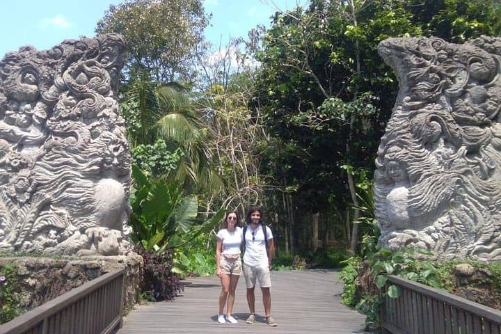 Ubud Jungle Swing & Tegalalang Rice Terrace Full-Day Tour photo 3