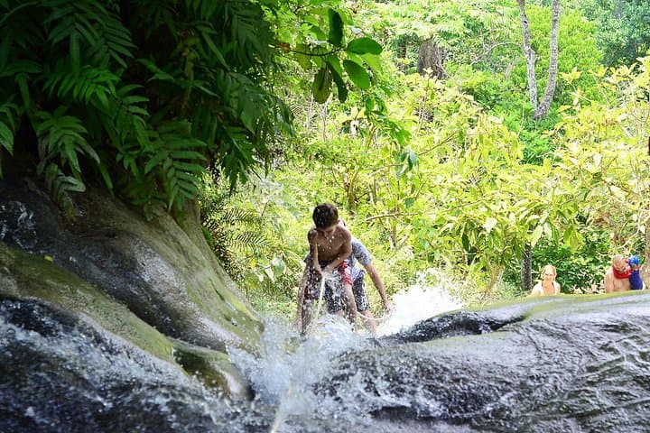 Elephant Sanctuary and Bua Thong Sticky Waterfall Day Trip from Chiang Mai photo 6