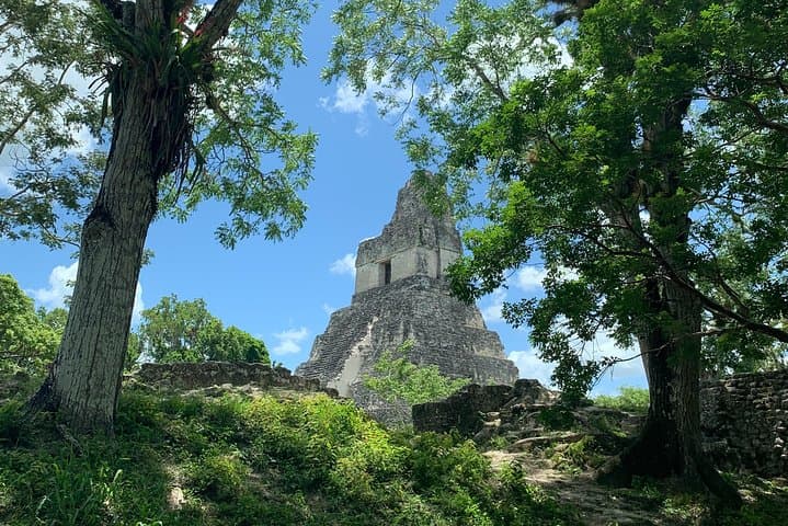 One-Day Tikal Tour from Antigua: Flight, Jungle Trek & Maya Pyramids