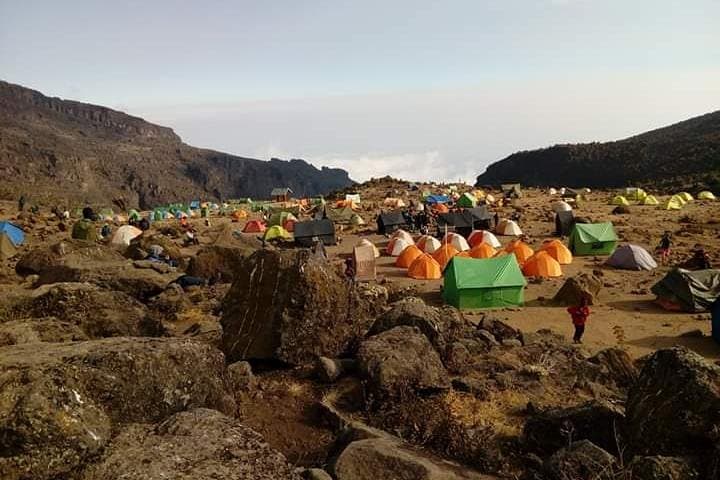 7-Day Mount Kenya Trek: Sirimon to Chogoria Summit Circuit