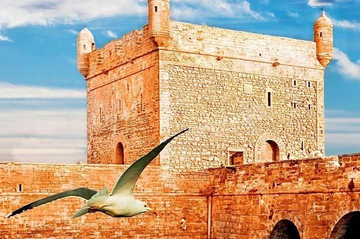 Essaouira Day Trip from Marrakech: Shared Small-Group Tour to the Atlantic Medina photo 5