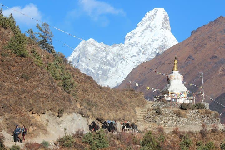 Everest Three Pass Trek: Conquer Kongma, Cho La & Renjo Passes in the Khumbu photo 2