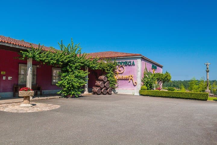 Rías Baixas Private Tour: Mussel Farms, Wine Tasting & La Toja Day Trip photo 4