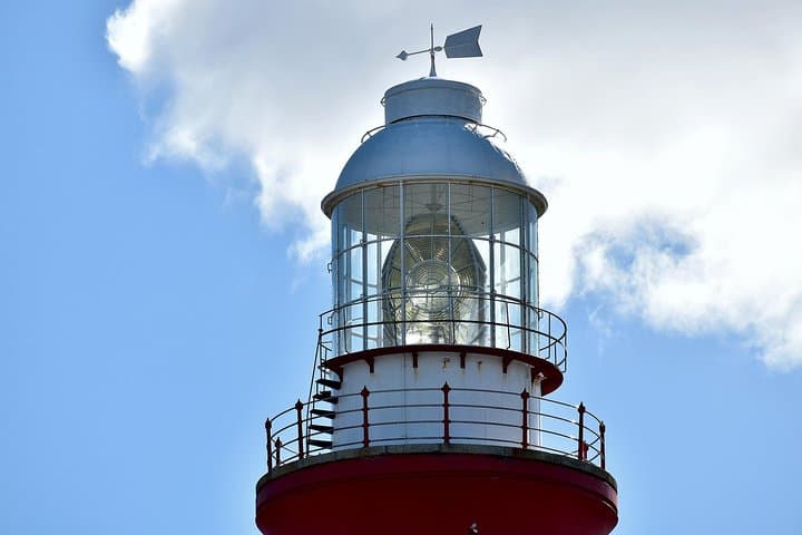Cape Agulhas and Stony Point Day Tour from Cape Town photo 3