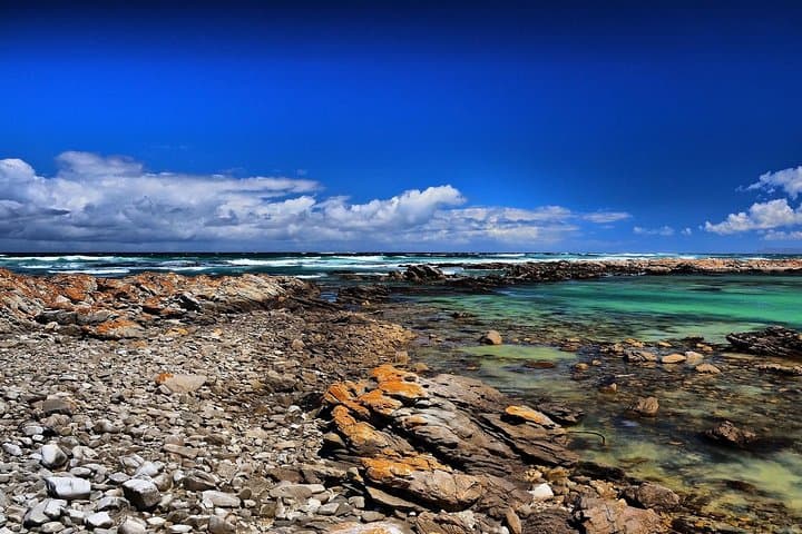 Cape Agulhas and Stony Point Day Tour from Cape Town photo 5