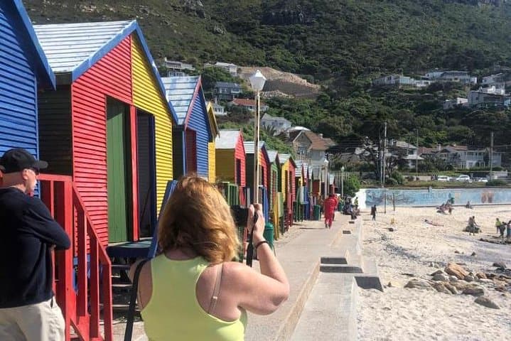 Cape Peninsula Adventure: Chapman's Peak, Penguins & Seal Island photo 2