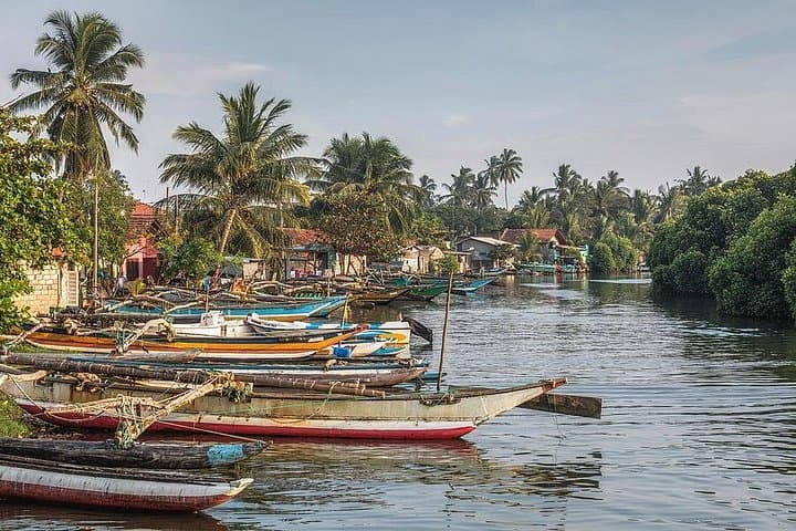 Negombo Fishing Village & Lagoon Private Day Tour from Colombo photo 2