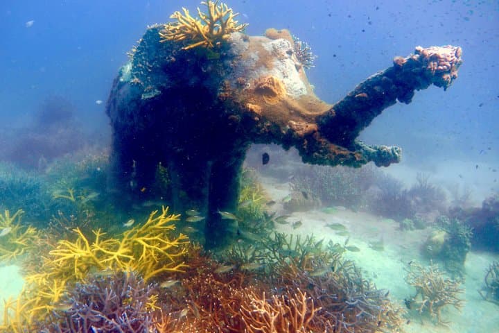 Bubblemaker Dive for Kids on Koh Kood — Shallow Coral Bays & Snorkel Fun photo 5